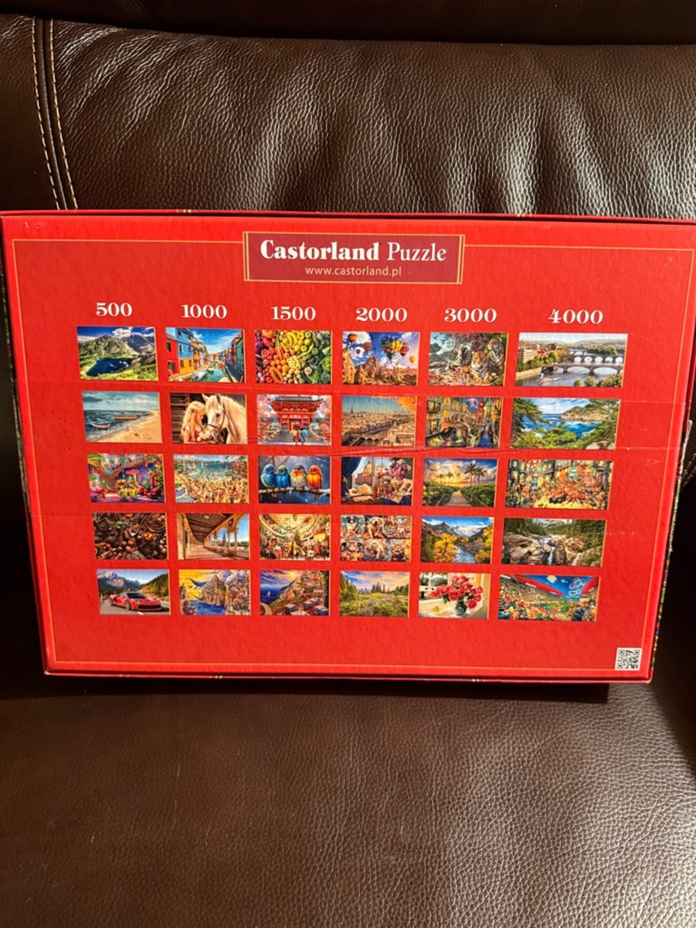 Castorland 1500-Piece Colorful Chameleon Puzzle.  Complete.  Excellent condition - Picture 3 of 8